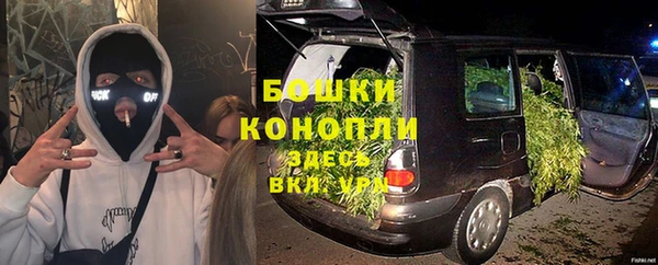 дживик Арсеньев